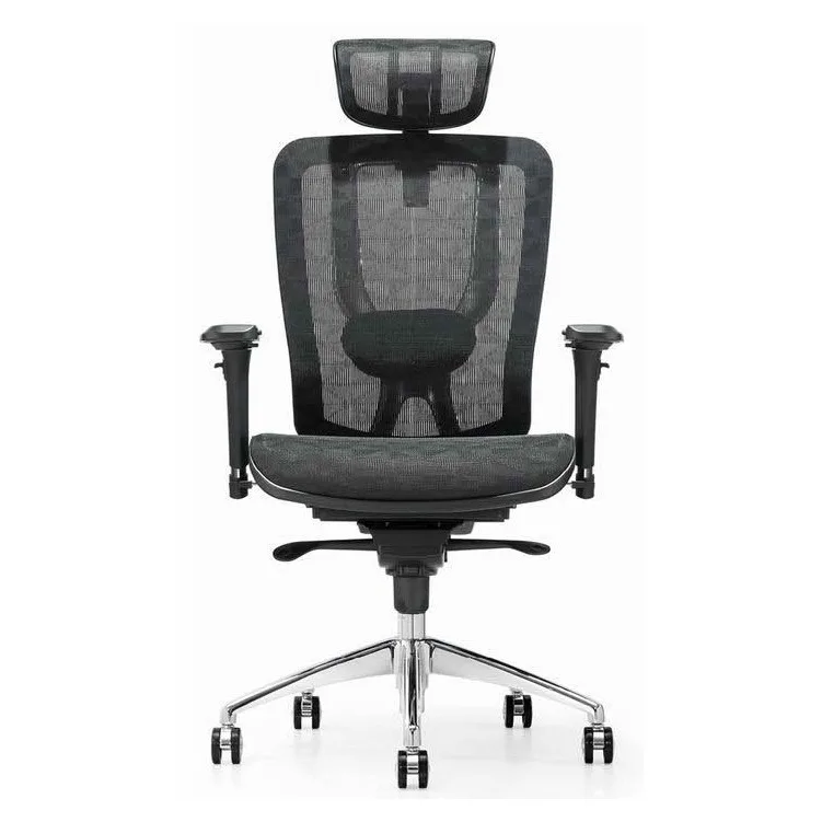Ergonomic mesh chair with headrest, high back