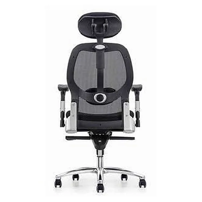Ergonomic mesh chair with padded headrest