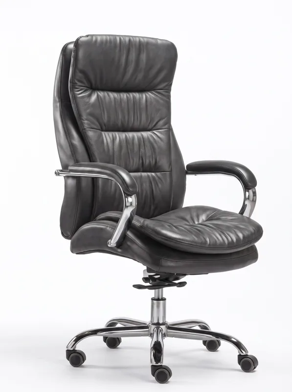 Executive chair with padded armrests