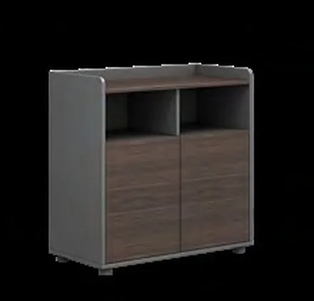 Low credenza with 2 doors and open shelf