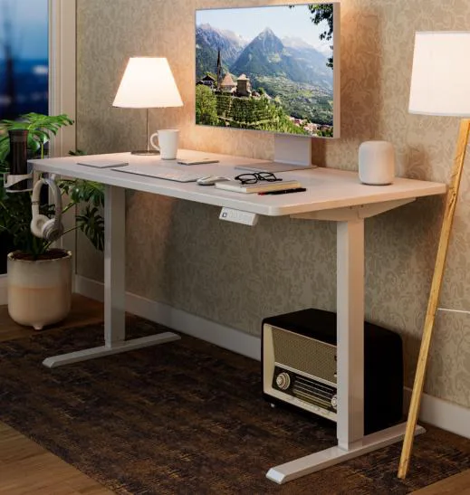 D2N Dual Motor Standing Desk