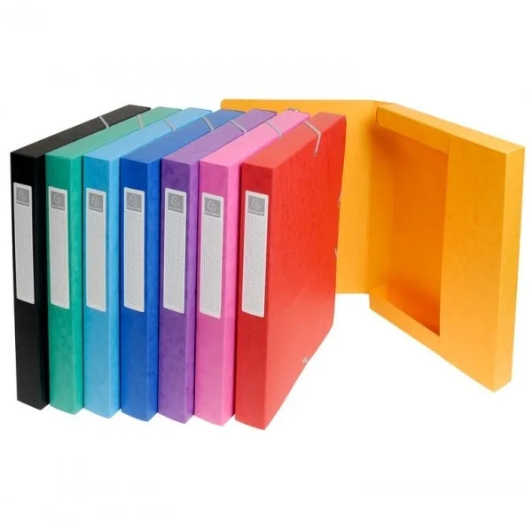 Exacompta A4 filing box, 60 mm spine